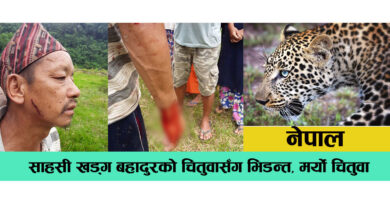 fight-with-leopard-mr-khadka-bahadur